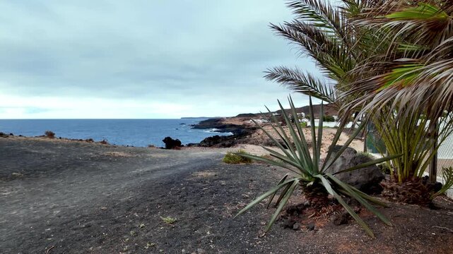 Scenic view of the rugged volcanic coastline at Charco del Palo in Lanzarote, Canary Islands, featuring black sand, palm trees, and the blue waters of the Atlantic Ocean under a cloudy sky