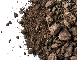 Detailed view of moist earth texture with rich ground showing various soil particles and organic material arranged on a transparent background for design use