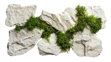 View of a winding flagstone garden path covered with green moss. This path can be used in landscaping designs and gardening projects. It features a natural look for outdoor spaces