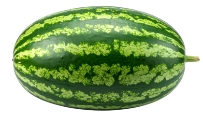 A whole, oval-shaped fruit with a vibrant green striped rind is shown. The long axis runs horizontally, featuring dark and light green patterns