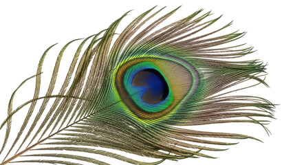 Obraz premium Exotic peacock feather PNG isolated on transparent background, iridescent plumage detail for design and decoration, vibrant natural element