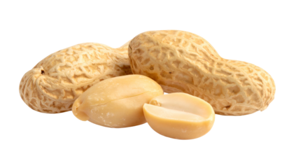 Close-up studio shot featuring several shelled and unshelled edible pods, one split open, revealing a smooth, cream-colored interior