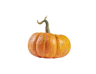 Pumpkin with curved green stem and segmented orange rind resting