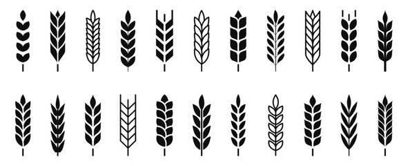Wheat ears icons. Grain spike icon. Agriculture symbol. Gluten sign.  Cereal, bread, harvest, bakery logo. Organic wheat plants. Vector illustration.