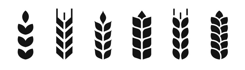Wheat ears icons. Grain spike icon. Agriculture symbol. Gluten sign.  Cereal, bread, harvest, bakery logo. Organic wheat plants. Vector illustration.