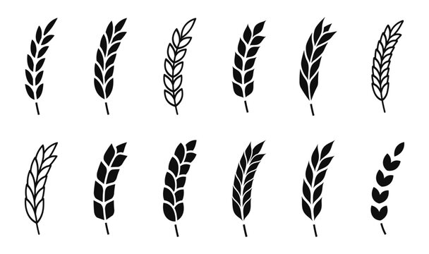 Wheat ears icons. Grain spike icon. Agriculture symbol. Gluten sign.  Cereal, bread, harvest, bakery logo. Organic wheat plants. Vector illustration.