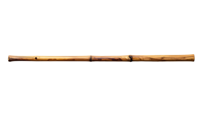 Close-up of a straight, slender, and polished bamboo cane against a solid black background. It is a natural color with dark spots
