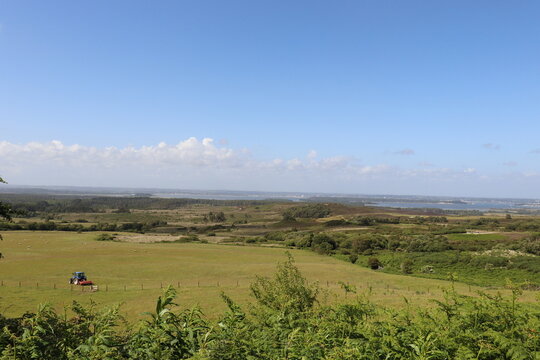 Dorset countryside