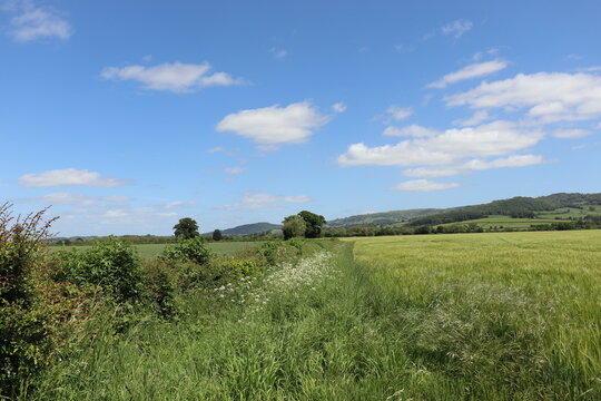 Wales countryside in the summertime