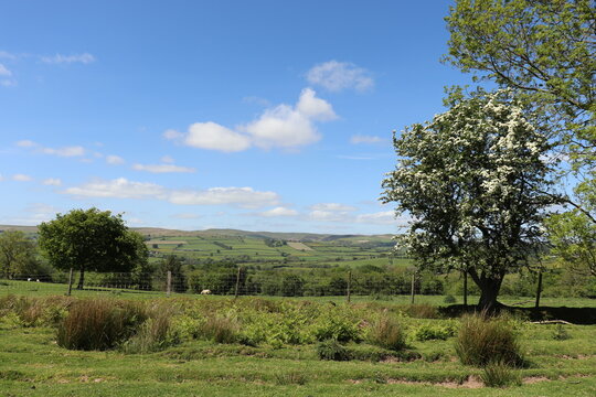Wales countryside in the summertime