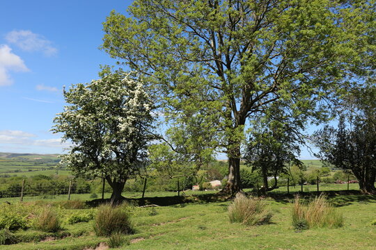 Wales countryside in the summertime