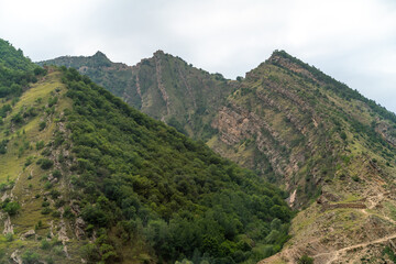 Caucasian mountain. Dagestan. Trees, rocks, mountains, view of the green mountains. Beautiful summer landscape.