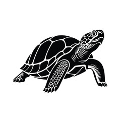 Fototapeta premium Sea Turtle or Tortoise Detailed Silhouette Illustration Isolated on White Background
