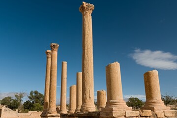 View of the Great Baths. Ancient ruins of the Roman city of Sbeitla. Tunisia. Africa.