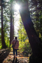 Woman, nature and trees in forest with sunshine