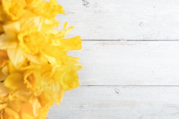 Close-up view of blurred fresh yellow daffodils arranged on a light wooden background. Minimal...