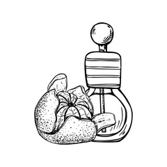 Mandarin orange, and essential oil glass bottle line art black ink composition. Hand drawn peeled tangerine fruit and dropper bottle with aromatic oil, serum or perfume illustration