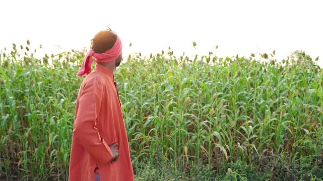 young indian farmer standing at agricultural farm