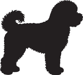 Bichon Frise Silhouette dog in silhouette white background.