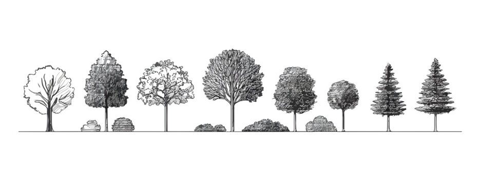 다양한 종류의 나무와 덤불이 투명한 배경에 줄지어 서 있는 흑백 일러스트레이션