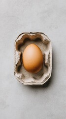 A solitary brown egg sits in the center of a vacant cardboard carton, highlighting its smooth texture and shape against a light background