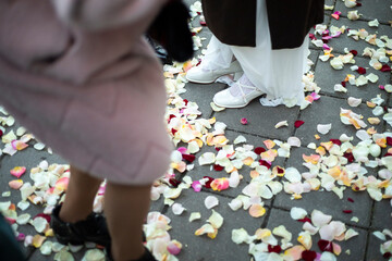 Rose petals at the feet of the bride. Flowers on the pavement. Details of the celebration.