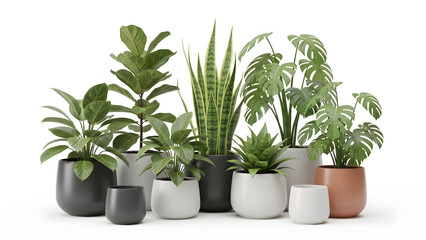 Obraz premium Minimalist indoor plants in modern pots, clean 3D rendering with white background