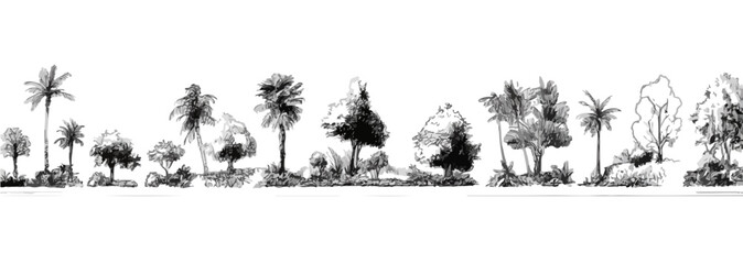 Zestaw szkic&oacute;w drzew, palm i roślinności w stylu czarno-białym na przezroczystym tle