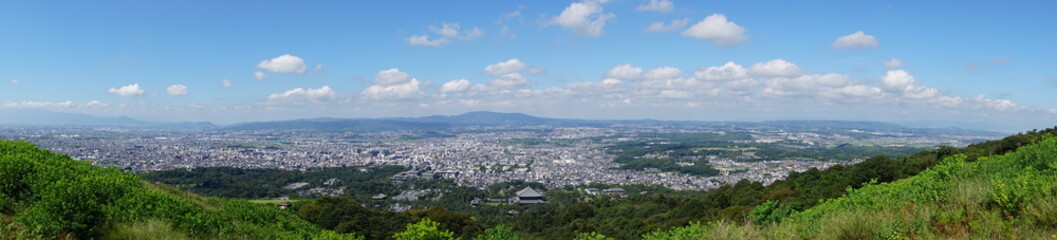 Naklejka premium Nara Park – Home of Free-Roaming Deer and Historic Temples in Nara, Japan