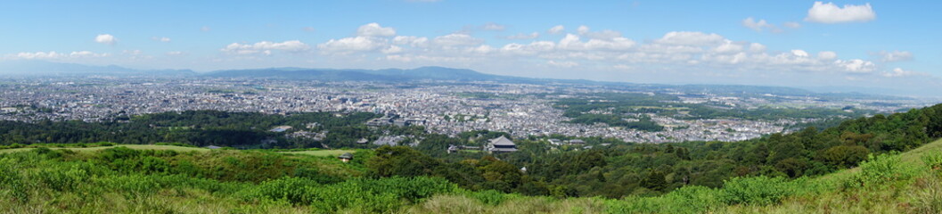 Fototapeta premium Nara Park – Home of Free-Roaming Deer and Historic Temples in Nara, Japan