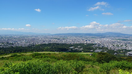 Obraz premium Nara Park – Home of Free-Roaming Deer and Historic Temples in Nara, Japan