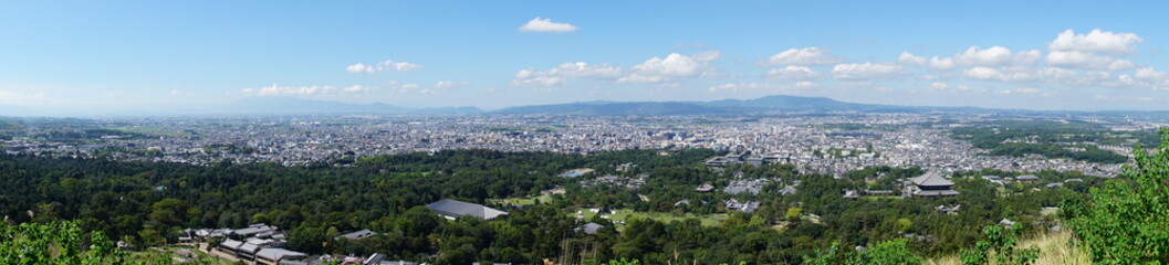 Fototapeta premium Nara Park – Home of Free-Roaming Deer and Historic Temples in Nara, Japan