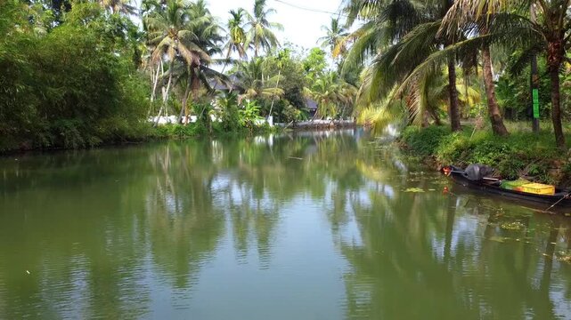 Serene Kerala backwaters scene featuring lush green coconut palm trees lining a calm river with a traditional boat moored on the bank.
