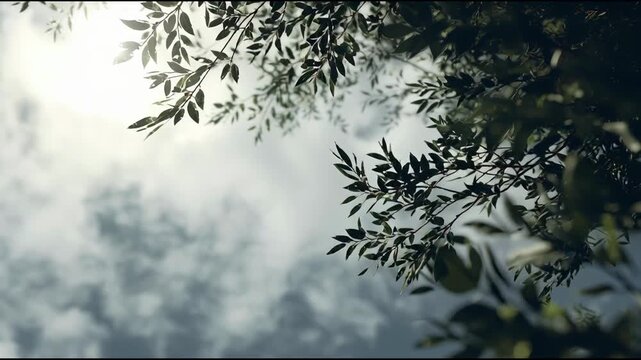 Sunlit leaves against cloudy sky background