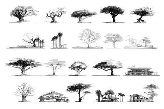 Colecci&oacute;n de bocetos arquitect&oacute;nicos y &aacute;rboles detallados dibujados a mano con fondo transparente.