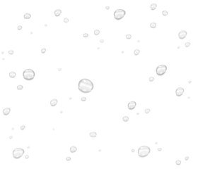 Realistic water drops. PNG drops, condensation on the window, transparent water drop. Abstract water drops, bubbles on transparent background