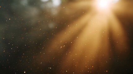 Fototapeta premium Sunlight beams illuminating floating dust particles in a hazy warm atmosphere