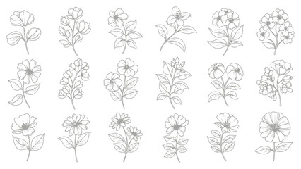 Vintage botanical floral elements hand-drawn icon set