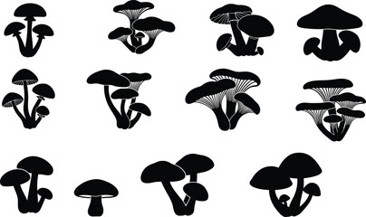 Mushroom silhouettes and fungi icons collection including wild forest mushrooms, chanterelles, agaric, porcini © Nahl