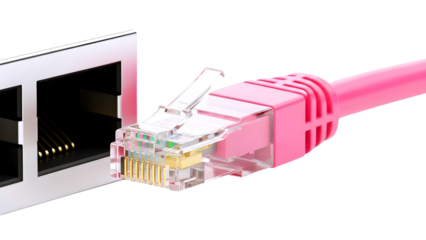 Pink ethernet cable connector isolated on transparent background