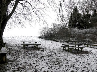 La Neuville Au Pont, December 2025 : Hiking in the Argonne and Ardennes forests, surrounded by trees and nature under the snow