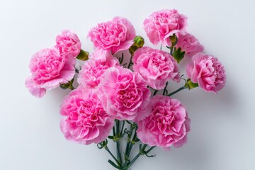 Delicate pink carnation arrangement photographed for greeting cards: International Women's Day, Valentine&acirc;&euro;&trade;s Day, Mother&acirc;&euro;&trade;s Day