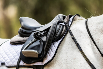 A black saddle on a white horse. The saddle is very elegant and neat, perfectly clean, with silver...