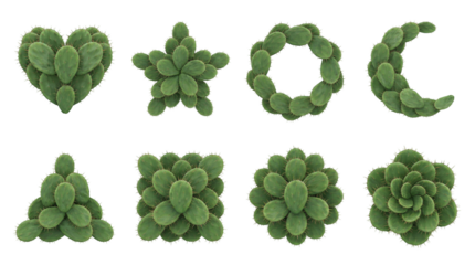 Prickly pear cactus set including heart, star, wreath, moon, triangle, square, and flower shapes isolated. Creative succulent plant and desert flora collection.