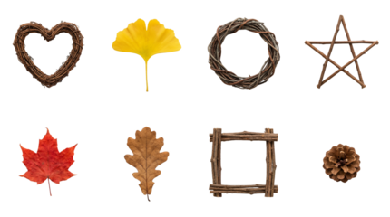 Natural autumn shapes set including twig wreaths, stars, squares, pinecone, and dried leaves isolated. Fall craft and nature decor collection.