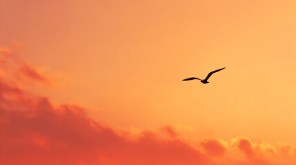 Fototapeta premium A solitary bird gliding gracefully through a vibrant sunset sky filled with hues of orange and pink.