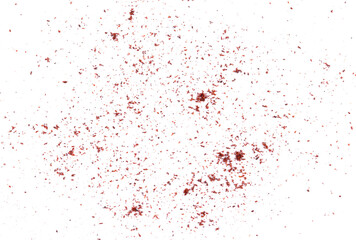 Fototapeta premium Fresh and ground aromatic vanilla from Madagascar flying on a white background