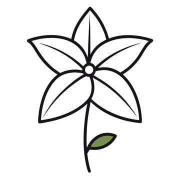 anagallis tenella line art vector illustration on white background