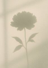 Fototapeta premium Elegant floral shadow silhouette
