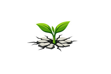 Obraz premium Green sprout growing through cracked ground